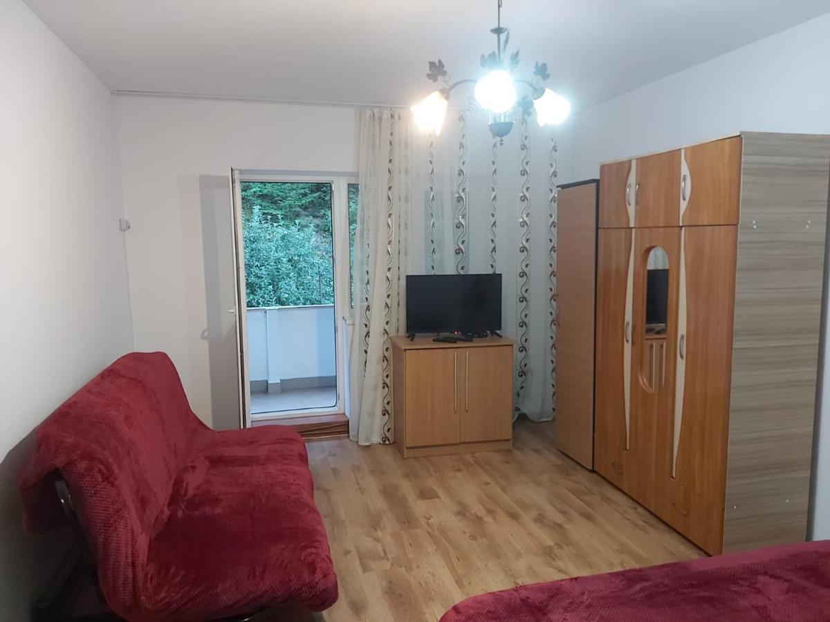 Apartament Nemira Slănic-Moldova Eksteriør bilde