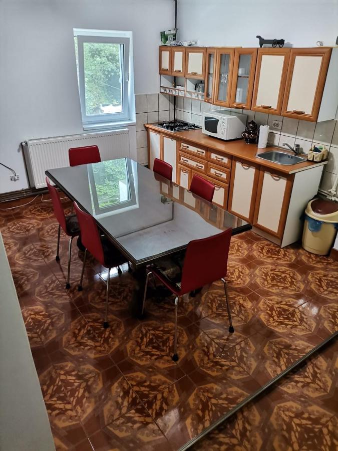 Apartament Nemira Slănic-Moldova Eksteriør bilde