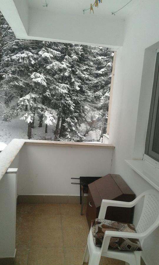Apartament Nemira Slănic-Moldova Eksteriør bilde